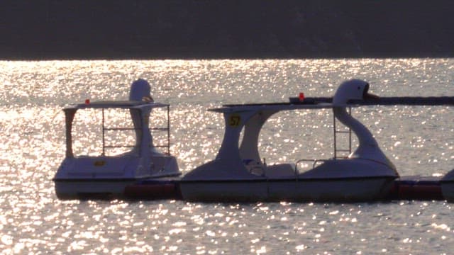 Duck boat on the lake glistening at dusk
