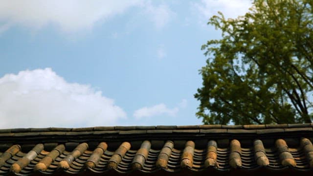Traditional Korean Architecture and Nature