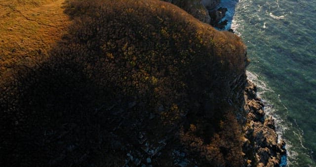 Coastal Landscape of a Rugged Coastal Cliffside