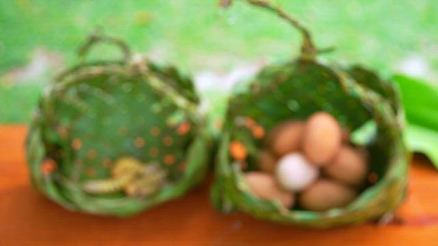 Baskets with eggs and larvae on a table