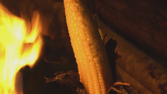 Corn roasting over an open flame
