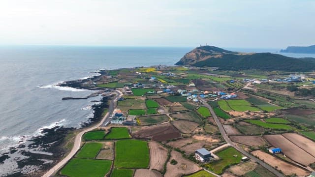 Coastal farmland with colorful fields