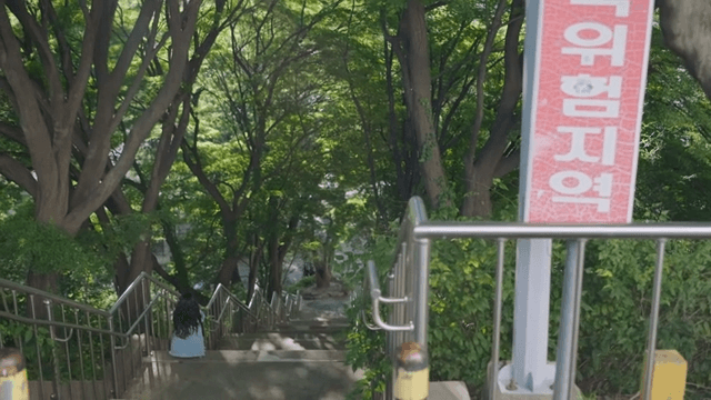 Back of person sitting on a staircase surrounded by green trees