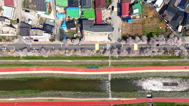 Cherry blossoms lining a riverside path