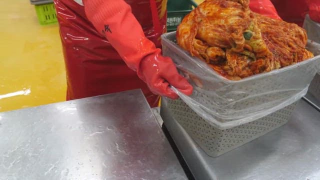 Person preparing and packaging traditional kimchi