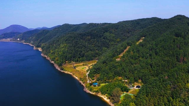 Views of lush forests along the riverside