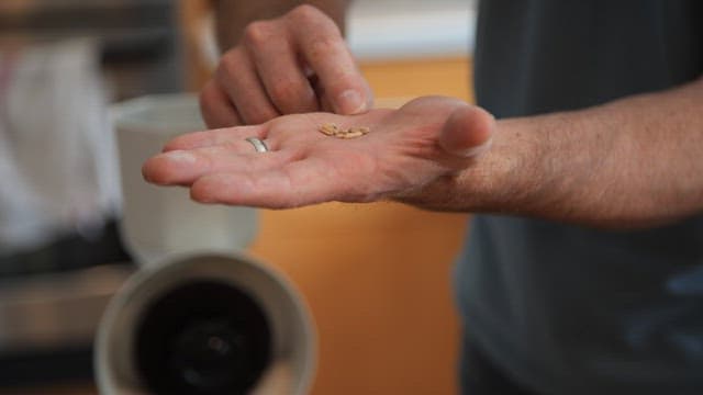 Person examining wheat bran placed on the palm of his hand in the kitchen