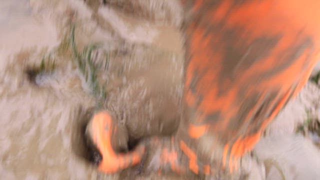 Person walking on the mudflat