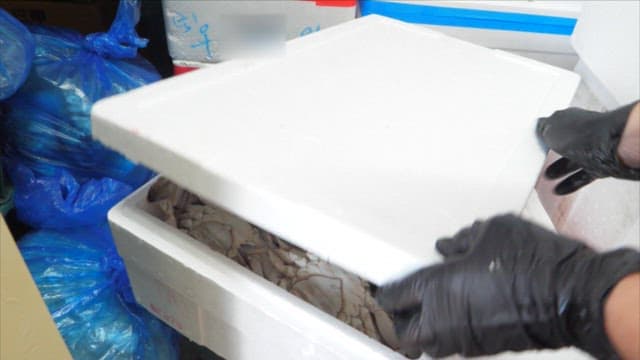 Fresh Crabs Packaged for Sale