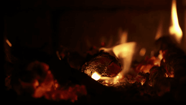 Burning logs with glowing embers