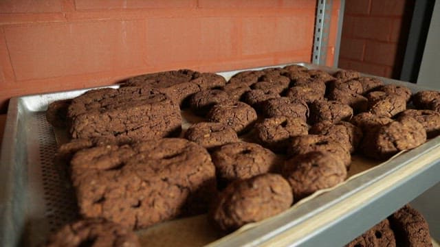 Cheonggukjang meju lumps made from red beans dried on a shelf