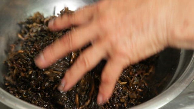 Hand mixing seaweed in a metal bowl