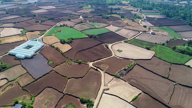 Brown and green farmland with crops growing