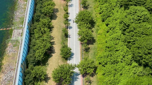 Cyclist on a tree-lined path by the river