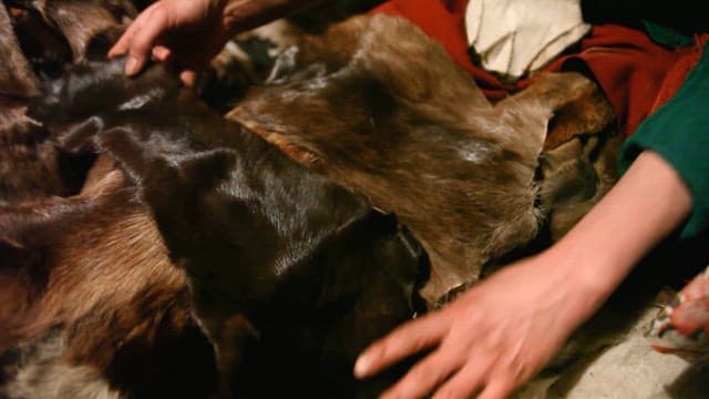 Explaining Processed Animal Skin Products