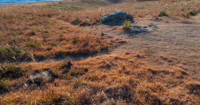Seaside Hilltop with Hikers and Tents