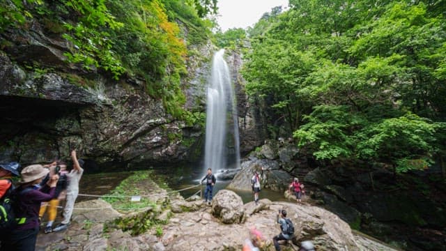 Visitors exploring a lush waterfall landscape