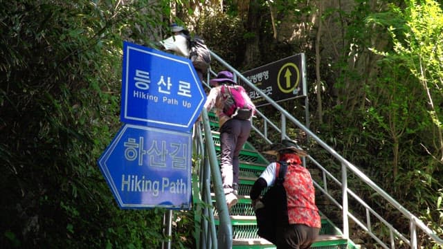 Hikers climbing the stairs of a hiking trail in the forest