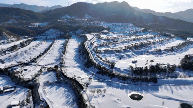 Serene Snowy Landscape with Winding Road