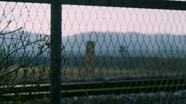 Serene Field Viewed Through Chain-Link Fence