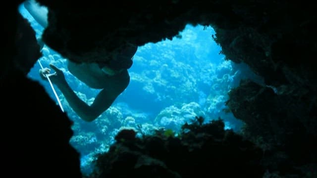 Person who catches fish using a harpoon in the sea