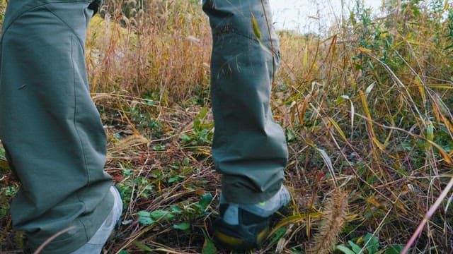 Hiking Through Overgrown Grassland
