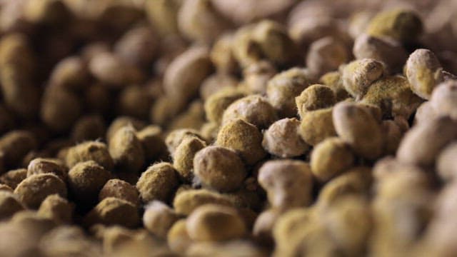 Detailed surface of the fully stacked fermented soybean