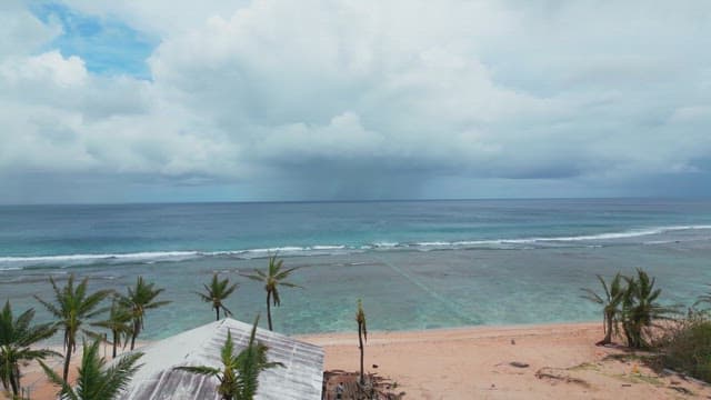 Serene beach with palm trees and waves