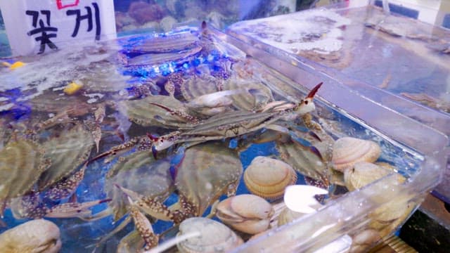 Crabs and Clams Filled in a Tank at a Fish Market