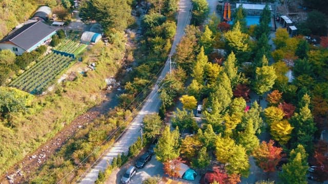 Rural Landscape with Farms