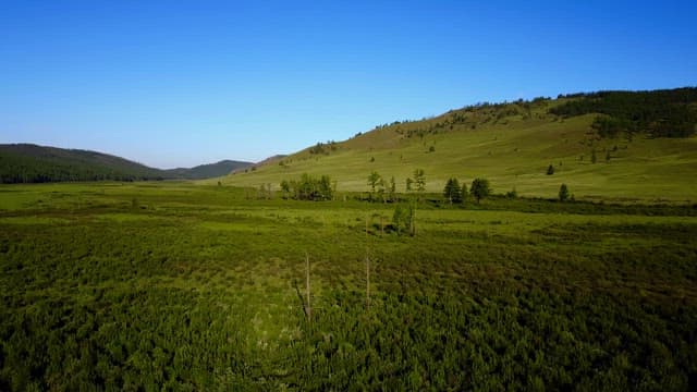 Expansive green hills under a clear blue sky