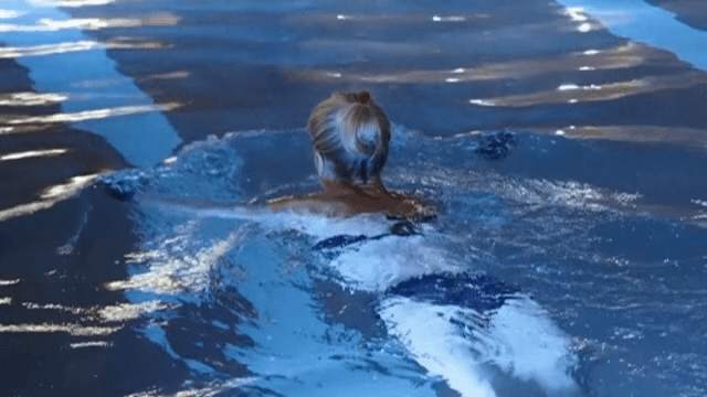 Person Swimming in Calm Indoor Pool
