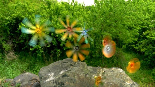 Colorful pinwheels spinning in a lush green forest