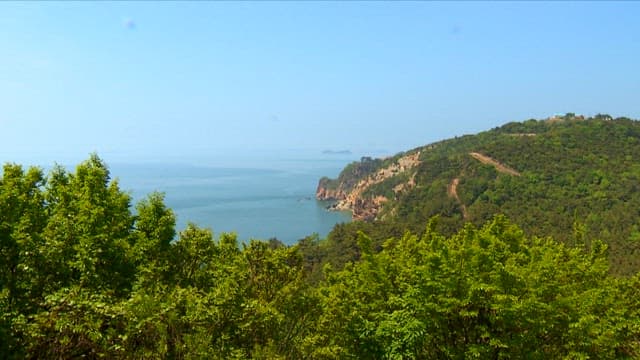 Coastal Landscape with Lush Greenery and Sea Views