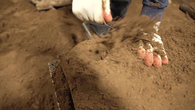 Molding process with sand and tool