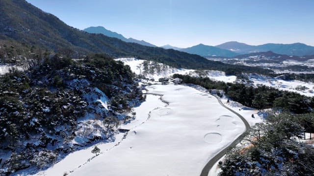 Snowy Landscape with Pine Trees and Mountains