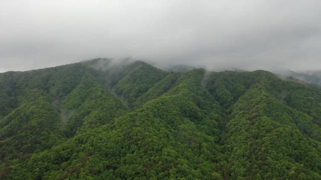 Lush green mountains under cloudy skies