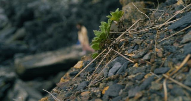 Woman Exploring Rocky Coastal Terrain
