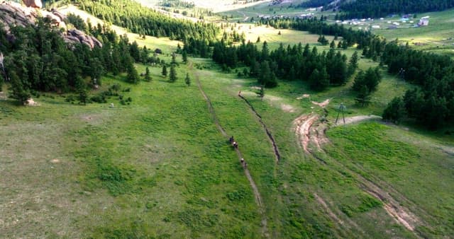 People passing by on a path in a lush forest