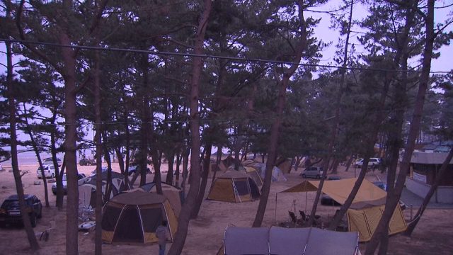 Scenery of the Pine Campground from Night to Morning