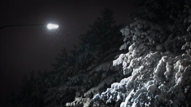 Snowy Night Viewed from a Quiet Street