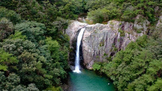 Picturesque waterfall surrounded by lush forests