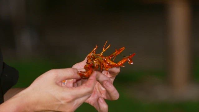 Appetizingly cooked crayfish meat from Mala long xia