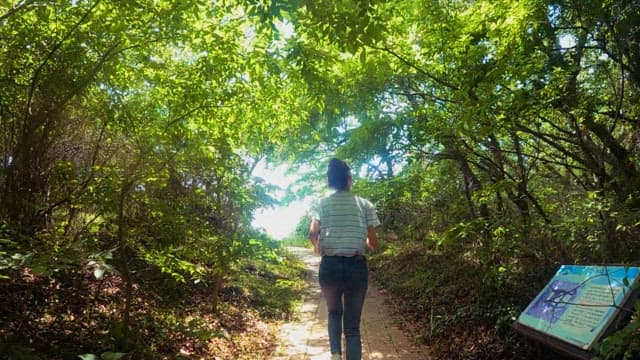 Traveler walking along a refreshing forest path to the sea