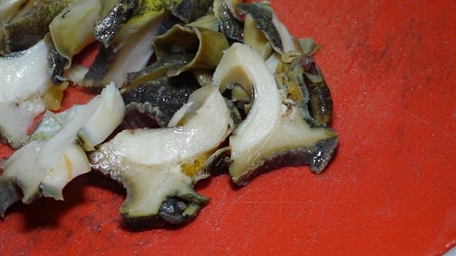 Cutting fresh abalone with a knife on a cutting board