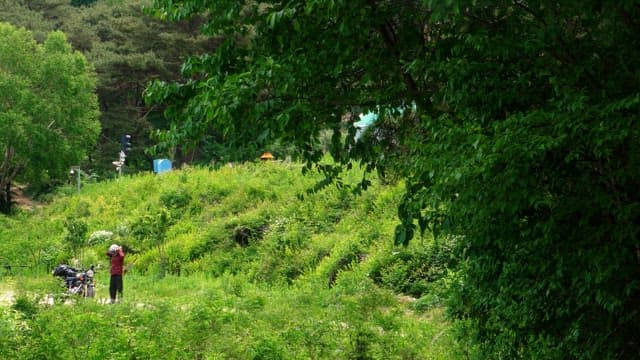Motorcyclist riding a motorcycle with a helmet in a green forest