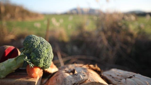 Fresh vegetables and juice plated on a wooden log