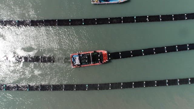 Boats sailing between laver farm nets