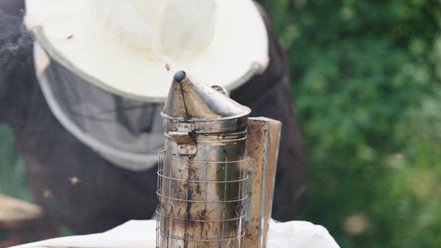 Smoker Emitting Smoke at an Apiary