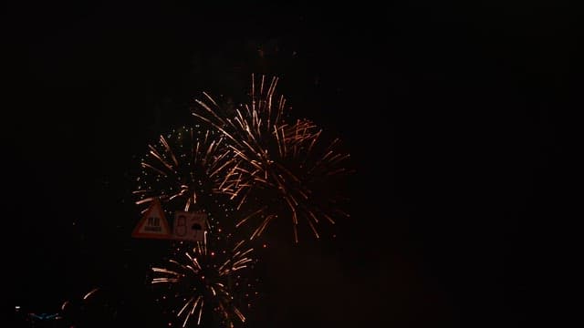 Fireworks lighting up the night sky